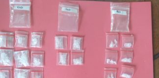 Sat Res Narkoba Polres Lamtim Gagalkan Aksi ‘S’ Edarkan Narkotika Jenis Sabu