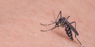 Anggota DPRD Kecewa Atas Lambannya Dinas Kesehatan Lamteng Dalam menangani Kasus Virus DBD