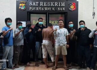 Tekab 308 Polres Way Kanan Berhasil Ringkus DPO Pelaku Curat Puluhan Sepeda Motor