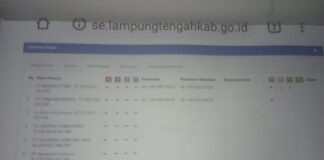 PPK Dinkes Lamteng Diduga Main Mata Dengan Pemenang Tender IPL