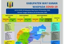 Update Covid-19 Way Kanan, Dua Terkonfirmasi Positif Dan Dua Pasien Dinyatakan Sembuh