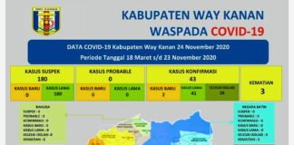 Update Covid-19 Way Kanan, Dua Terkonfirmasi Positif Dan Dua Pasien Dinyatakan Sembuh