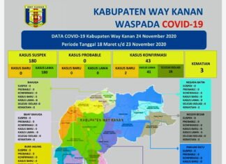 Update Covid-19 Way Kanan, Dua Terkonfirmasi Positif Dan Dua Pasien Dinyatakan Sembuh