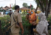 PKK Dan Para Kader Hadiri Pembinaan Kesrak di Kecamatan Metro Utara