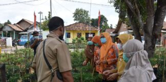 PKK Dan Para Kader Hadiri Pembinaan Kesrak di Kecamatan Metro Utara
