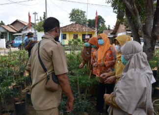 PKK Dan Para Kader Hadiri Pembinaan Kesrak di Kecamatan Metro Utara
