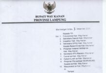 Bandar Udara Gatot Soebroto Kabupaten Way Kanan Kembali beroperasi