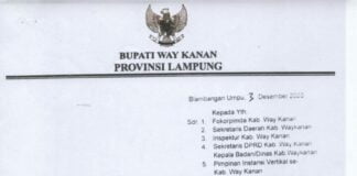 Bandar Udara Gatot Soebroto Kabupaten Way Kanan Kembali beroperasi
