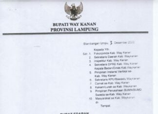 Bandar Udara Gatot Soebroto Kabupaten Way Kanan Kembali beroperasi