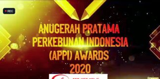 Bupati Lambar Parosil Mabsus Dapatkan Penghargaan APPI Award Tahun 2020