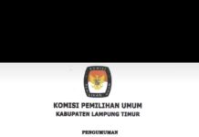 KPU Tetapkan Dawam Azwar Hadi Sebagai Bupati dan Wakil Bupati Lamtim Terpilih