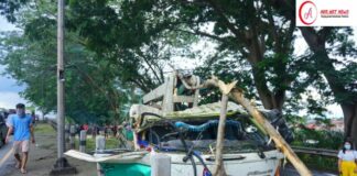 Satu Mobil Truk Tertimpa Pohon Saat Melintas Dijalan Soekarno Hatta Balam