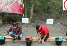 Ketua Komisi IV DPR RI Dan Bupati Lamsel Ajak Masyarakat Tanam Mangrove