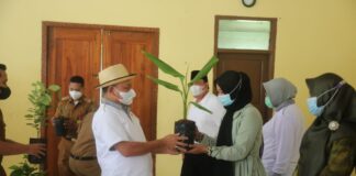 Guna Pemulihan Ekonomi, Bupati Lam-Tim Bagikan Bibit Tanam Hortikultura