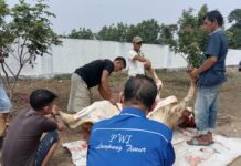 PWI Lamtim Peringati Idul Adha 1442H Dengan Tetap Patuhi Prokes