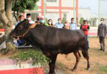 Lapas Gunung Sugih Terima Bantuan Kurban dari Bupati Lampung Tengah
