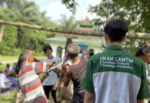 Peringati perayaan hari raya Idul Adha, Ikam Lamtim Berkurban Kambing
