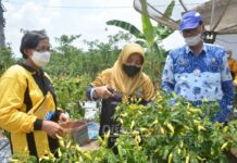 TIM GERAKAN PKK KABUPATEN LAMPUNG TENGAH MARDIANA MUSA AHMAD HADIRI KEGIATAN BUNGA KAMPUNG DI KABUPATEN WAY SEPUTIH