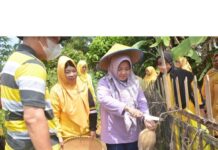 Ketua Tim Penggerak PKK Lamteng Ikut SertaBunga Kampung