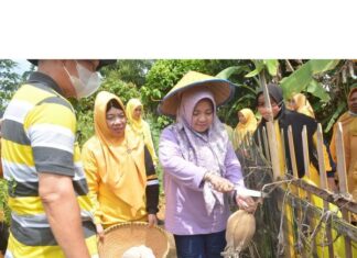 Ketua Tim Penggerak PKK Lamteng Ikut SertaBunga Kampung