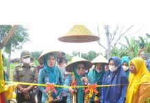 Ketua FKWT Lamteng Berjaya Buka Resmi FKWT Hidroponik dan Kebun Agro Edukasi