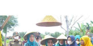 Ketua FKWT Lamteng Berjaya Buka Resmi FKWT Hidroponik dan Kebun Agro Edukasi