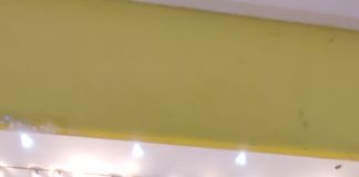 Anak Wartawan SIWO PWI Lampung Sabet Mendali di Festival Taekwondo 2022