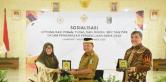 Bupati Lampung Timur Hadiri Acara Sosialisasi Optimalisasi Peran Tugas Fungsi BPK dan DPR Dalam Pengawasan Pengelolaan Dana Desa