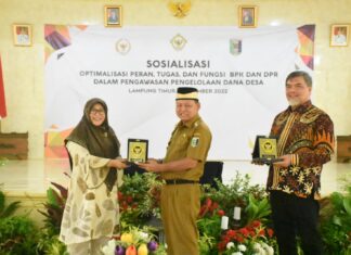 Bupati Lampung Timur Hadiri Acara Sosialisasi Optimalisasi Peran Tugas Fungsi BPK dan DPR Dalam Pengawasan Pengelolaan Dana Desa