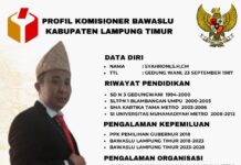 Dua Periode Anggota Bawaslu Lamtim, Ini Dia Profil Syahroni