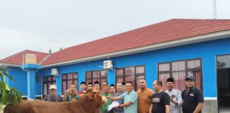 Hari Raya Idul Adha: PWI Lampung Timur Potong Hewan Kurban Satu Ekor Sapi