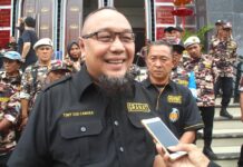 MFY Pimpin DPC Granat Lamtim