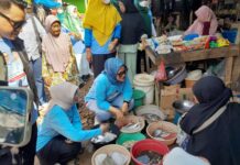 Ela-Azwar Berdialog Dengan Masyarakat Kecamatan Gunung Pelindung