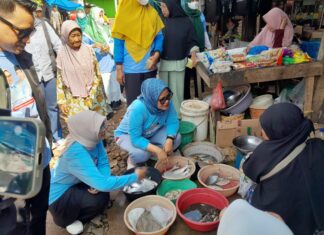 Ela-Azwar Berdialog Dengan Masyarakat Kecamatan Gunung Pelindung