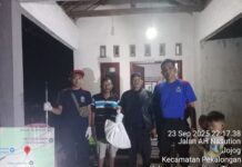 Satgas Damkar BPBD Lampung Timur Berhasil Evakuasi Ular