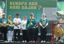 Peringati Hari Gajah Sedunia Pemkab Lamtim Gelar Elefun Run Gajah Fest 2025
