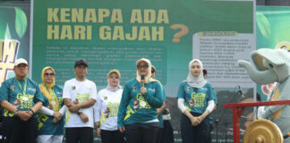 Peringati Hari Gajah Sedunia Pemkab Lamtim Gelar Elefun Run Gajah Fest 2025