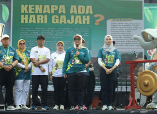 Peringati Hari Gajah Sedunia Pemkab Lamtim Gelar Elefun Run Gajah Fest 2025